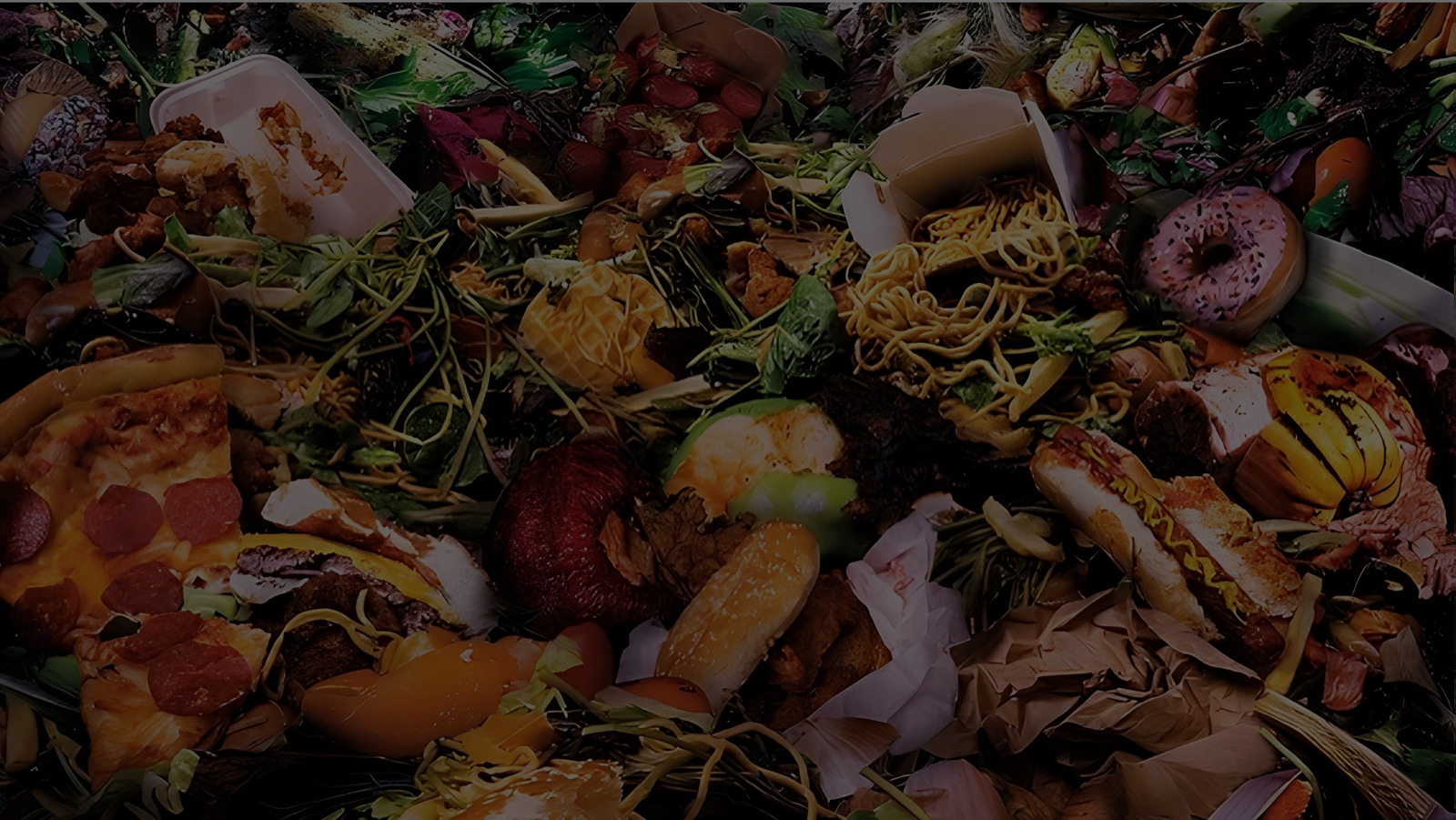 Food waste background