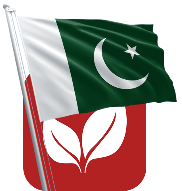 Savemore Logo with Pakistan Flag