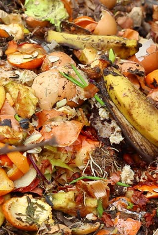 Global food waste